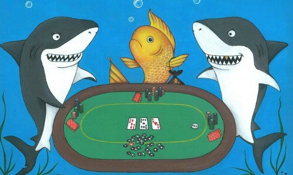 Онлайн покер акула скачать казино гаминатор