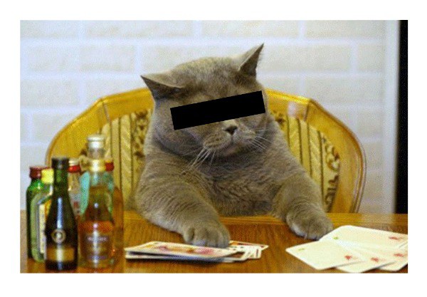 Кот играет в покер Животные покер