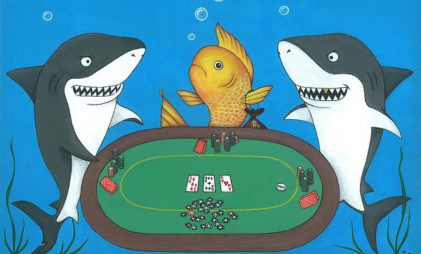 poker fish